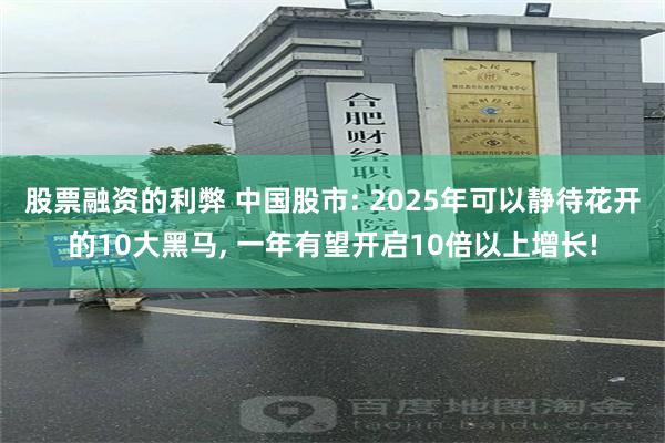 股票融资的利弊 中国股市: 2025年可以静待花开的10大黑马, 一年有望开启10倍以上增长!