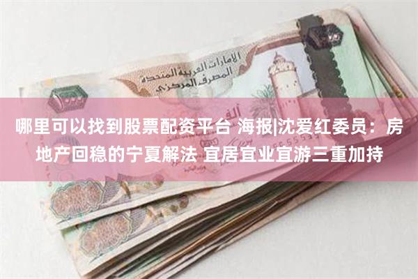 哪里可以找到股票配资平台 海报|沈爱红委员：房地产回稳的宁夏解法 宜居宜业宜游三重加持
