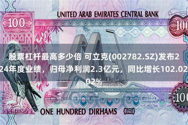 股票杠杆最高多少倍 可立克(002782.SZ)发布2024年度业绩，归母净利润2.3亿元，同比增长102.02%