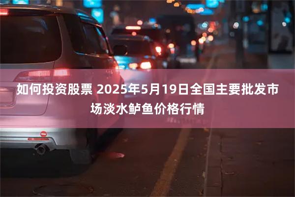 如何投资股票 2025年5月19日全国主要批发市场淡水鲈鱼价格行情