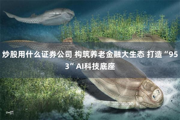 炒股用什么证券公司 构筑养老金融大生态 打造“953”AI科技底座