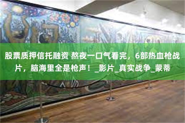 股票质押信托融资 熬夜一口气看完，6部热血枪战片，脑海里全是枪声！_影片_真实战争_蒙蒂