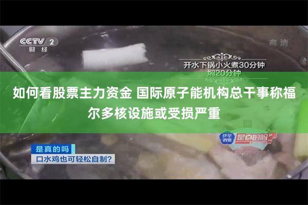 如何看股票主力资金 国际原子能机构总干事称福尔多核设施或受损严重