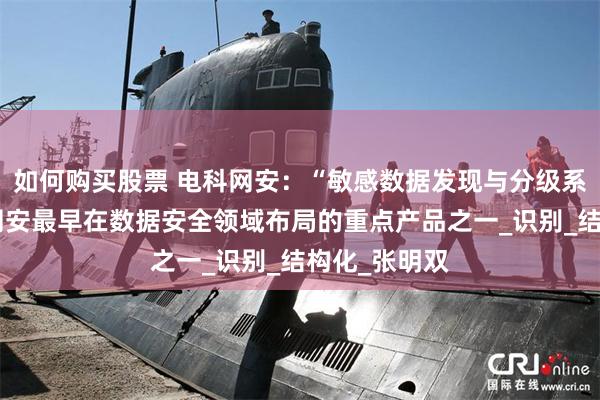 如何购买股票 电科网安：“敏感数据发现与分级系统”是电科网安最早在数据安全领域布局的重点产品之一_识别_结构化_张明双