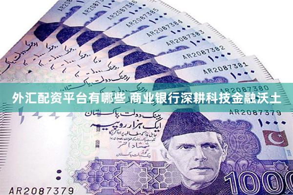 外汇配资平台有哪些 商业银行深耕科技金融沃土